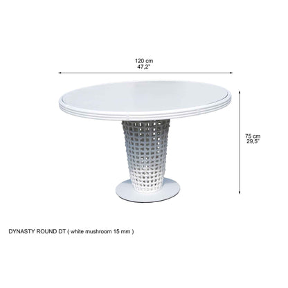 Dynasty 5-Piece Dining Set with Sunbrella Cushion
